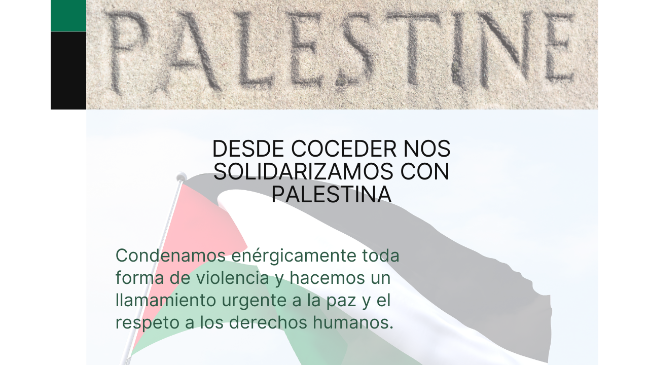 Infografía con la bandera de Palestina y el texto "Desde COCEDER nos solidarizamos con Palestina".