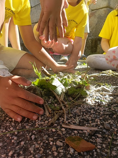 unas manos de niños plantando unas plantas