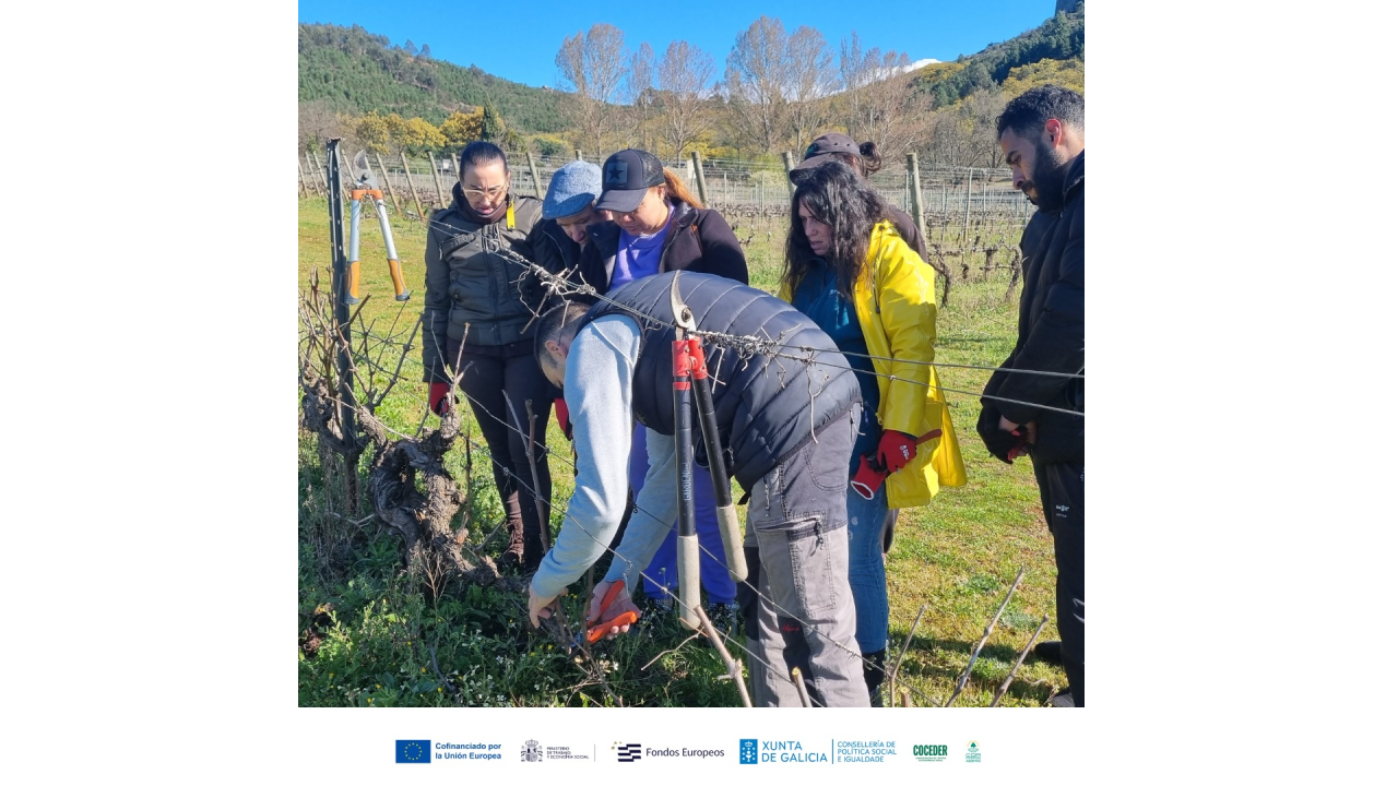 Un grupo de personas realizando trabajos de poda