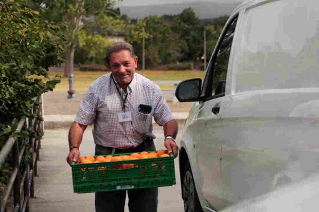 Un hombre carga una bandeja de fruta al lado de una furgoneta