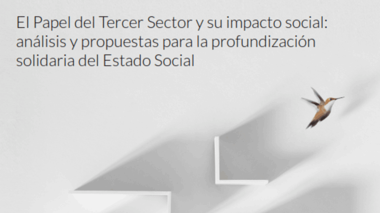El papel del Tercer Sector y su impacto social