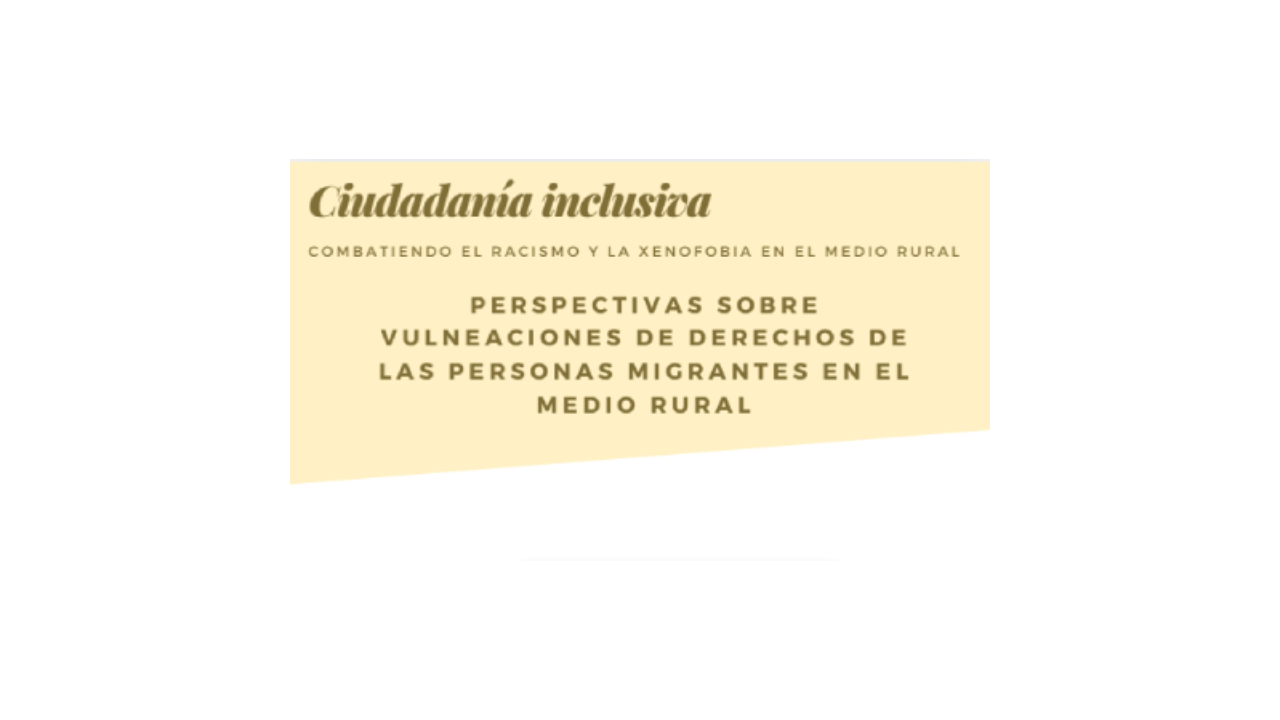 Portada Ciudadanía Inclusiva y titulo Perspectivas sobre vulneraciones de derechos
