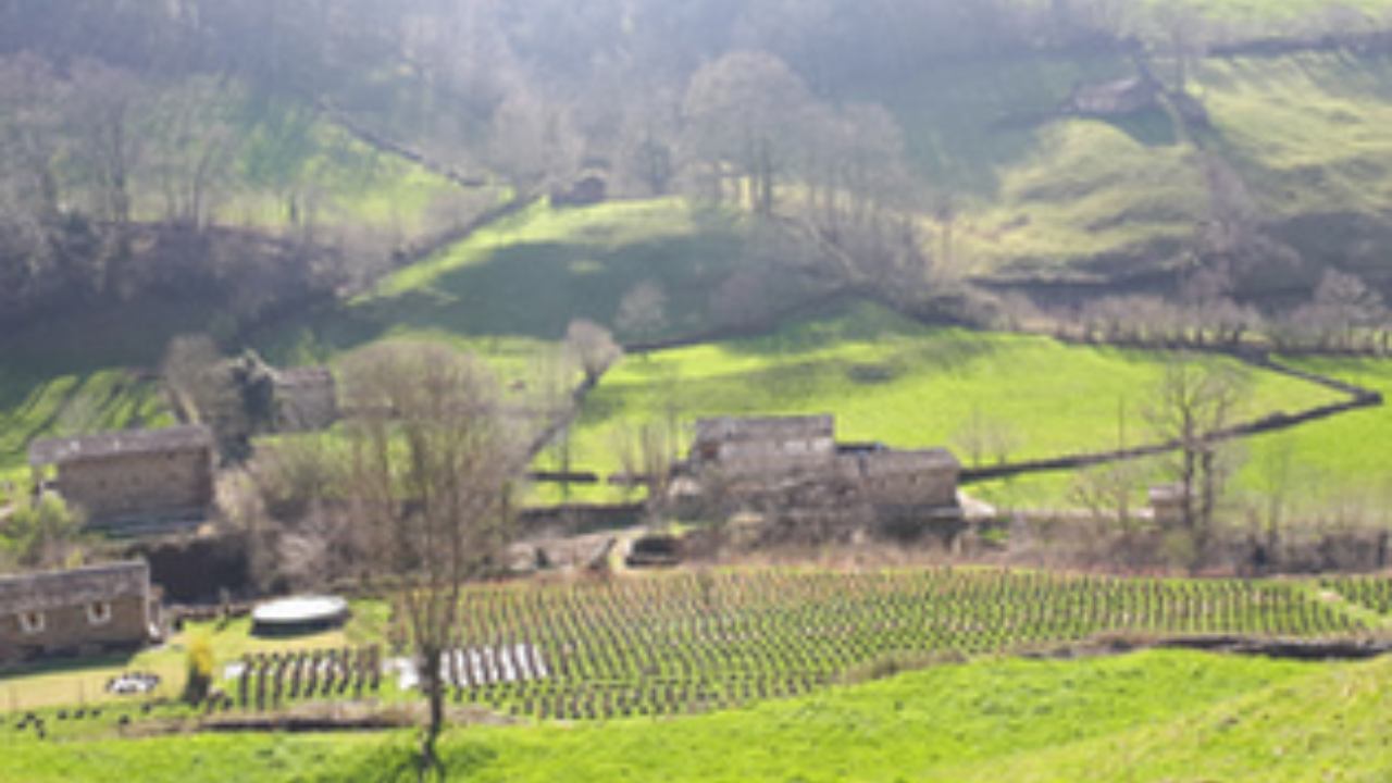 Imagen de un verde valle con sus casa antiguas y el campo sembrado