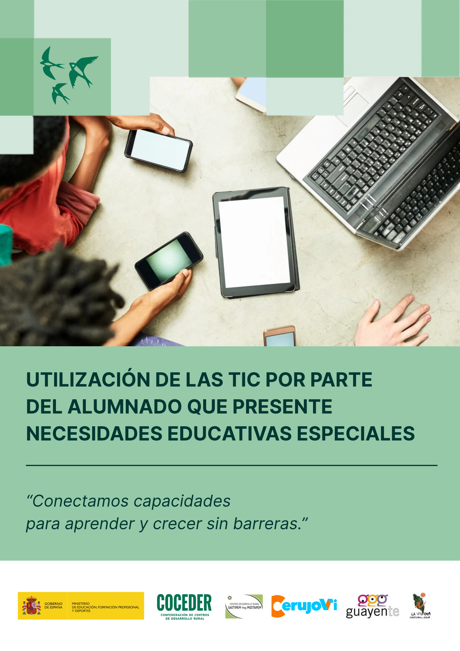 Programa TICs