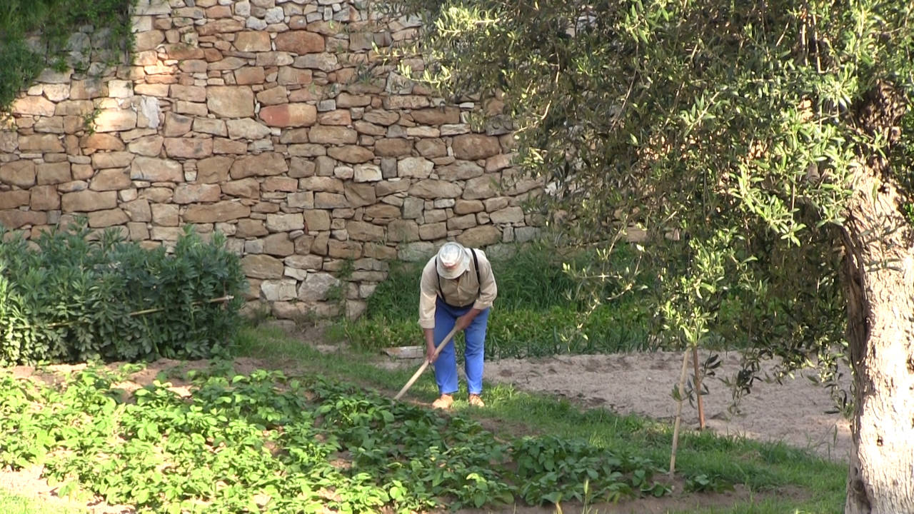 Persona mayor cavando una zona verde