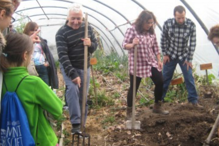 Grupo de personas realizando actividades en un vivero