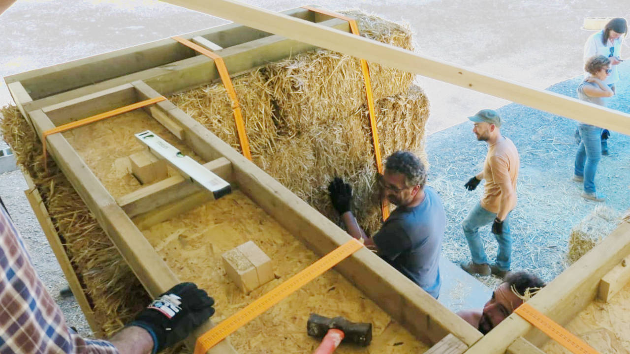 Grupo de personas realizando actividades con alpacas de paja en un itinerario