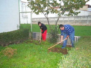 Dos personas cavando en una zona verde