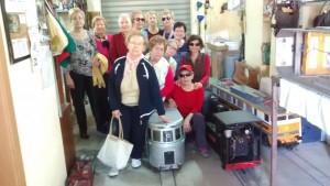 Grupo de mujeres mayores realizando una visita