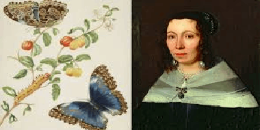 Maria Sibylla