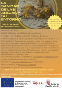 Cartel descriptivo de Curso de abejas y su entorno