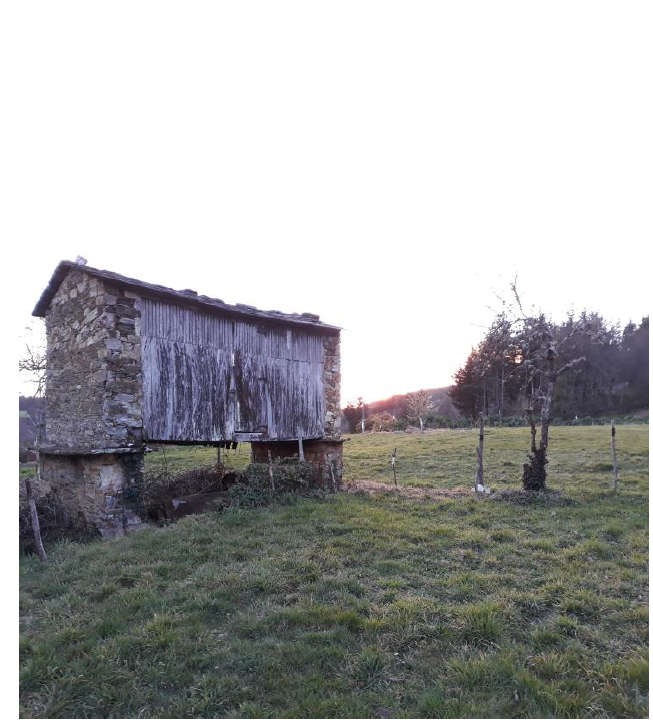 Campo con una casa antigua sobre dos pilares