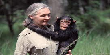 Jane Goodall