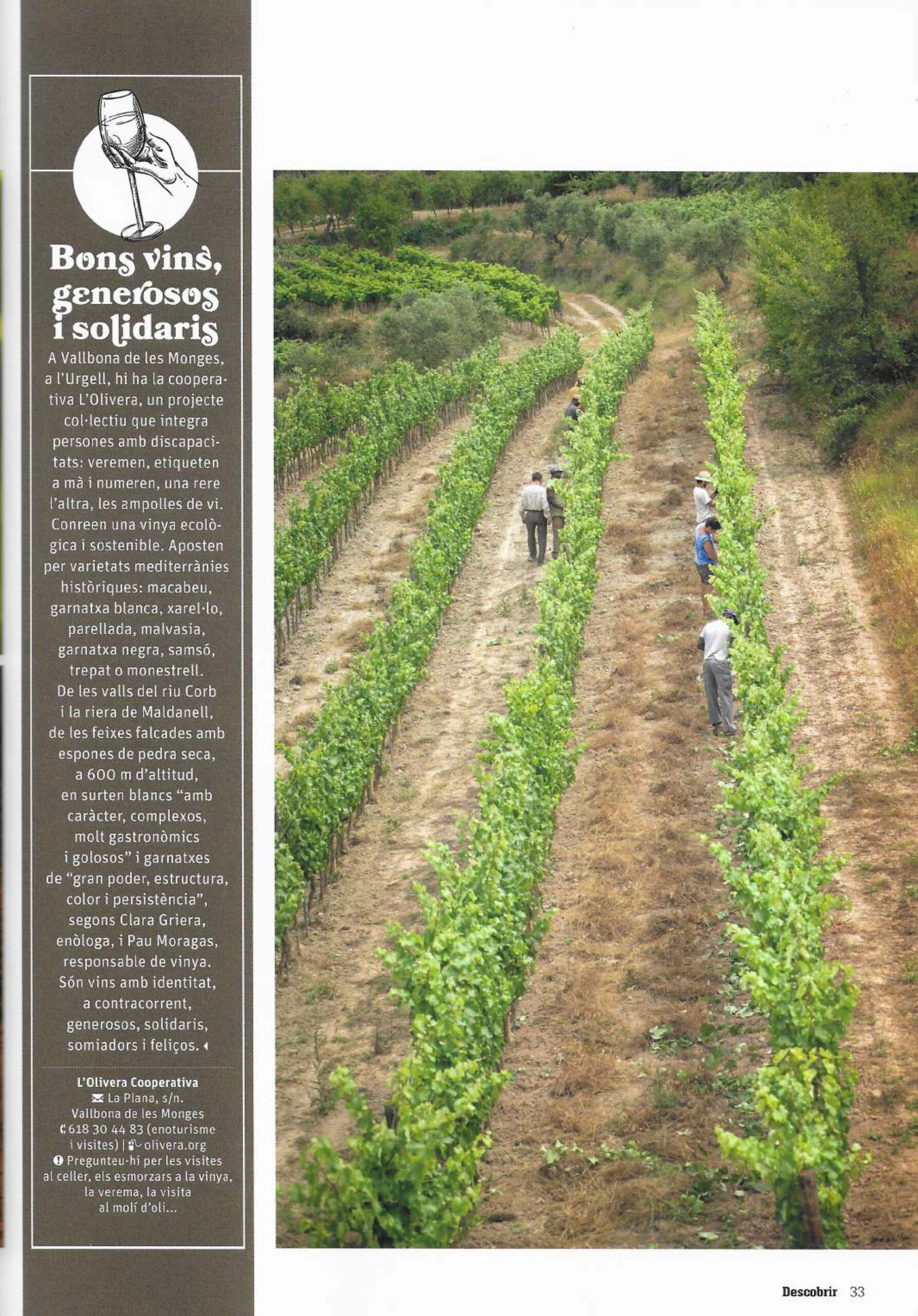 Artículo de la Revista Descubrir con la foto de los campos