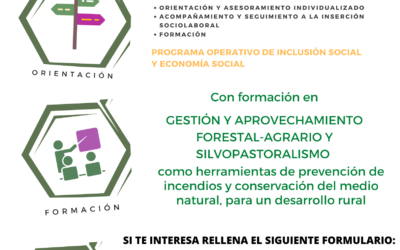 Comienza un nuevo itinerario online con formación en gestión y aprovechamiento forestal-agrario