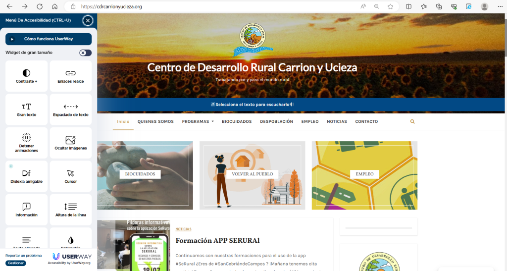Foto de la accesibilidad de la web del Centro de Desarrollo Rural Carrión y Ucieza